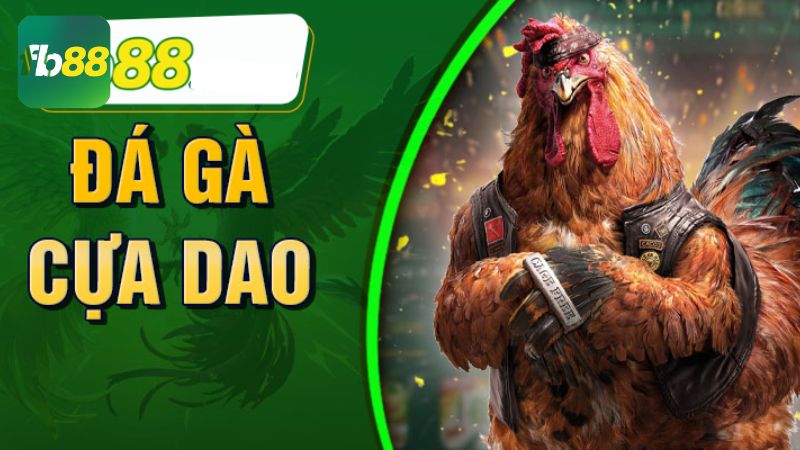 Sảnh đá gà chuyên nghiệp